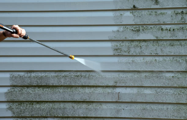 Best House Exterior Washing  in Mccordsville, IN